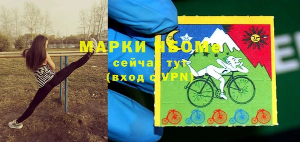 PSILOCYBIN Богородск