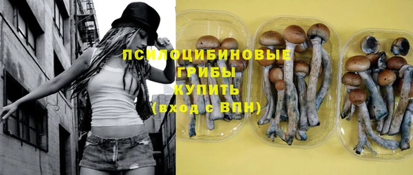 MDMA Premium VHQ Богородицк