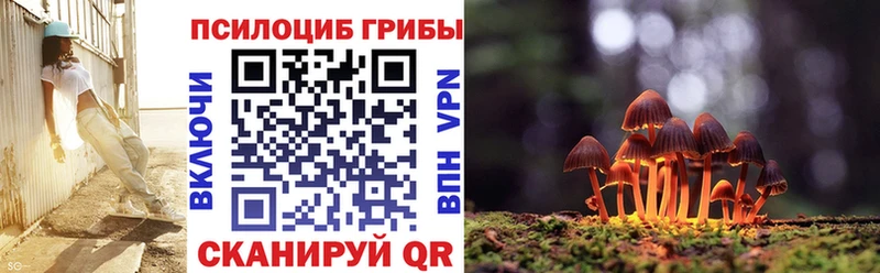 Псилоцибиновые грибы прущие грибы сайты даркнета формула Шуя