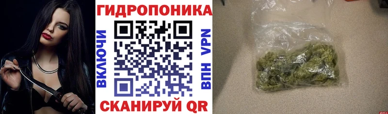 Канабис AK-47 Шуя